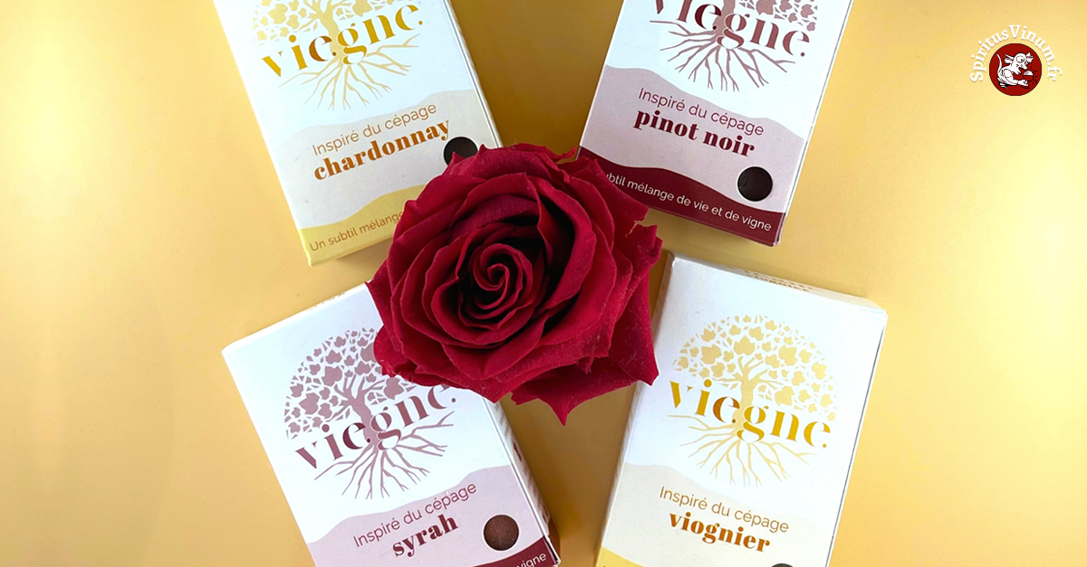 Offre spéciale Saint-Valentin avec la complicité de Vie.gne / Photo ©Vie.gne